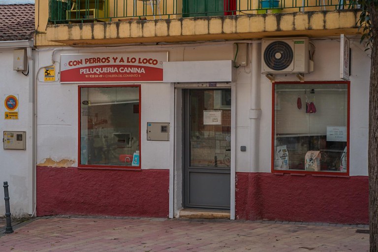 CON PERROS Y A LO LOCO  PELUQUERA CANINA.jpeg