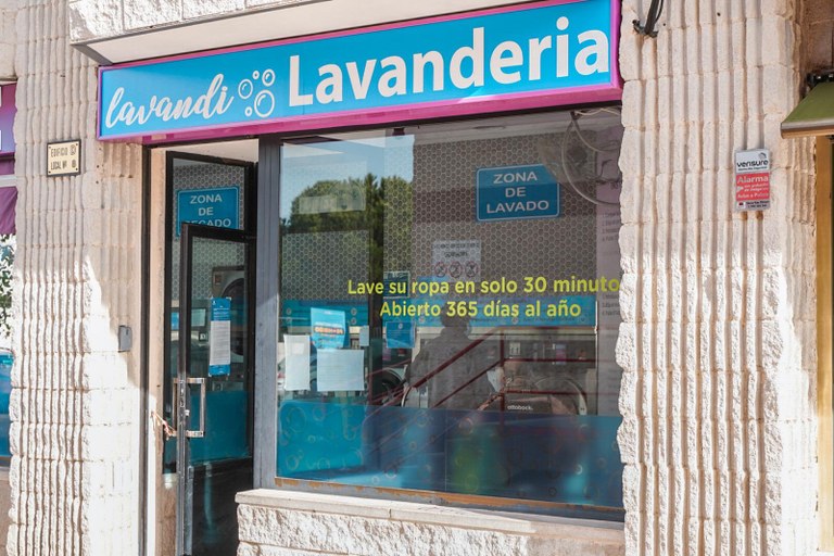 Ampliar 'LAVANDI LAVANDERA.jpeg' LAVANDI LAVANDERA.jpeg