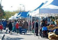 Mercadillo Municipal
