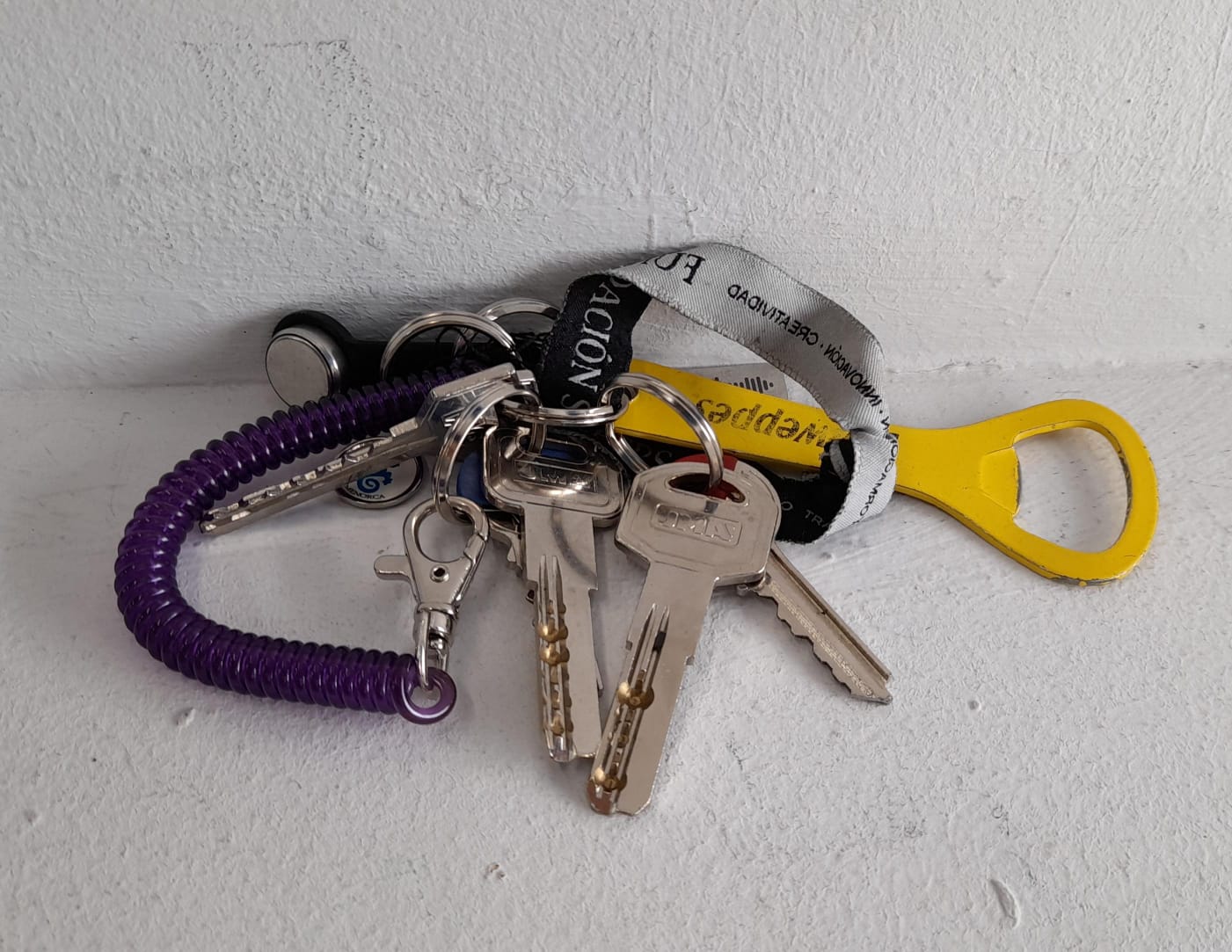 18966a4d-e794-4a4d-92d8-a2ddeb1d54b8.jfif