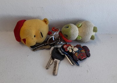 WhatsApp Image 2025-05-27 at 10.10.47.jpeg WhatsApp Image 2025-05-27 at 10.10.47.jpeg