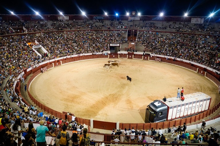 NdP_Licitación festejos taurinos 2025 (4).jpg