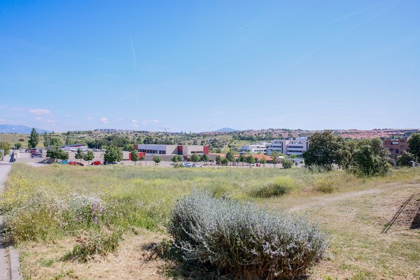 NdP_IES Estación.jpg