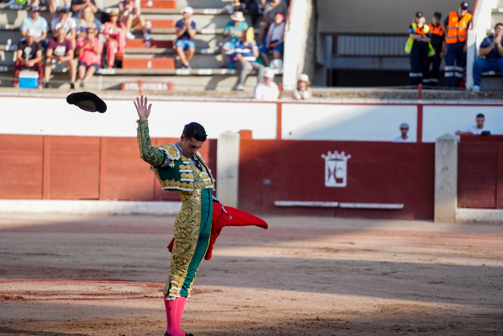 Toros.jpg