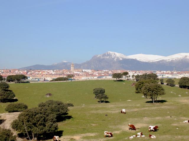 NdP_ColmenarViejo.jpg