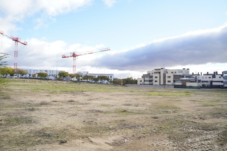 NdP_Visita parcela nuevo CEIPSO_3.jpeg