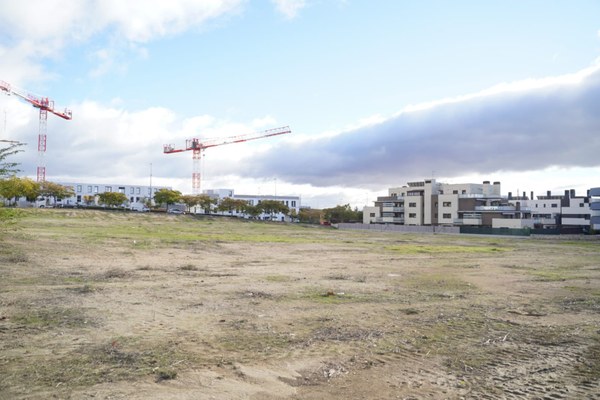 NdP_Visita parcela nuevo CEIPSO_3.jpeg NdP_Visita parcela nuevo CEIPSO_3.jpeg