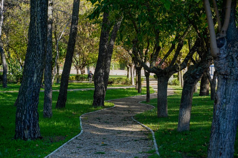 arbolado parques (3).jpg