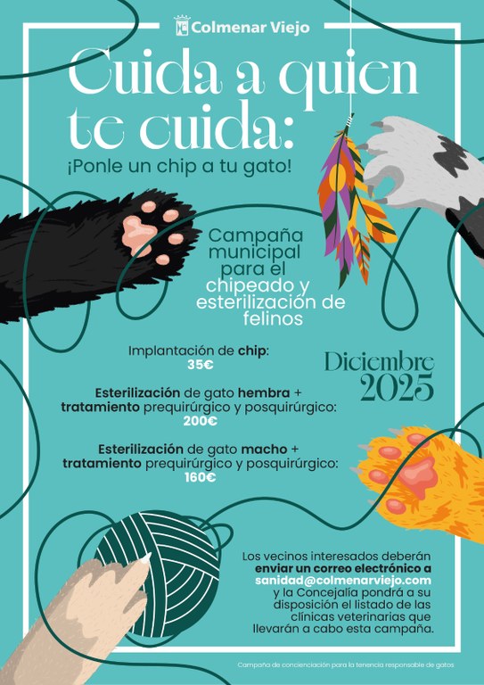 Ampliar 'El Ayuntamiento realizará durante el mes de diciembre una nueva campaña de concienciación para la tenencia responsable de gatos'