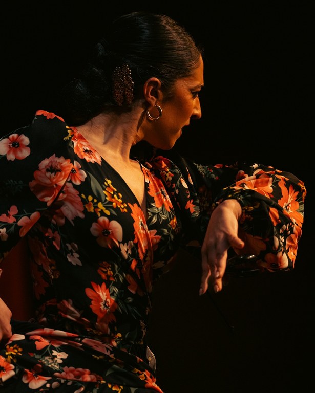 NdP_Flamencolé.jpg
