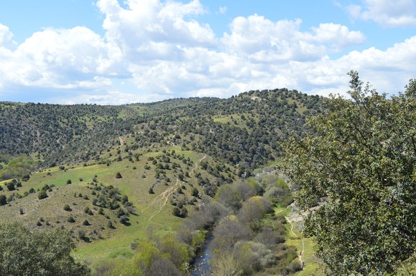 Ndp_JornMedAmbiente_8.jpg