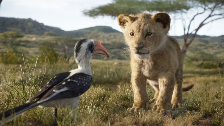 Ampliar 'Este fin de semana el Rey León en el Cine de Verano, títeres en Saltimbanqui y última jornada de actividades en el Parque de los Héroes'