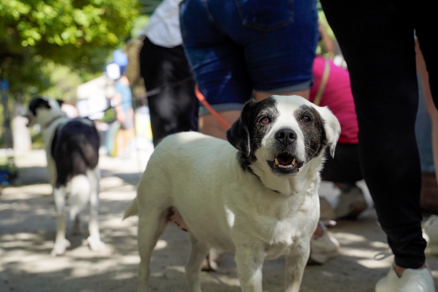 NdP_DíaFamiliaPerruna (3).jpg