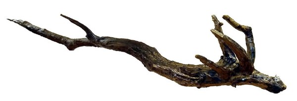 NdP_Picasso_salaP_02.jpg