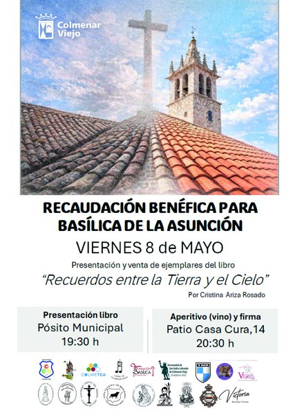 CARTEL recaudacion benefica cristina ariza.jpg