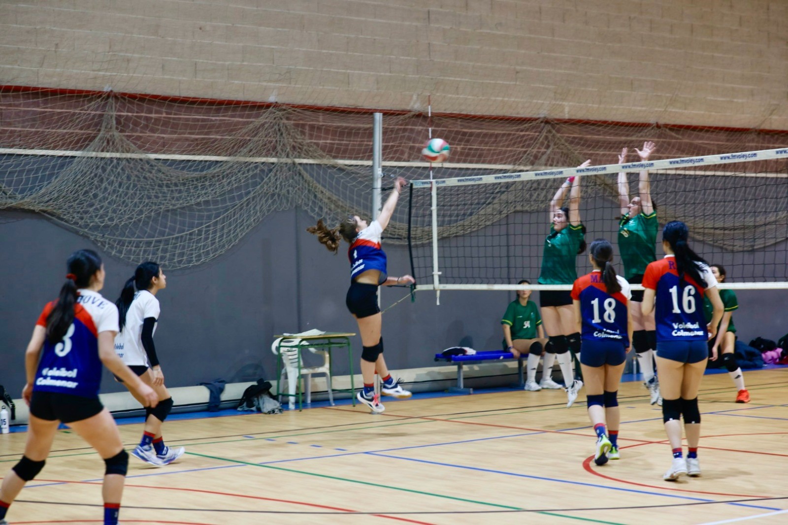 NdP_Voleibol.jpg