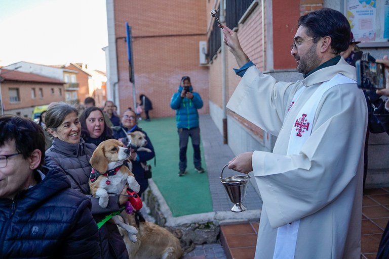 Ampliar 'Fin de semana en Colmenar Viejo'