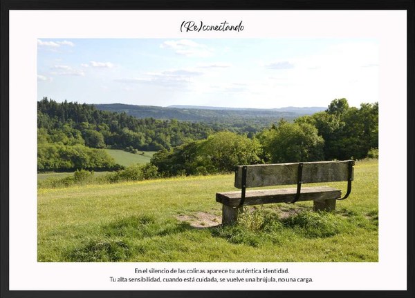 NdP_ExpoPicasso_SalaPicasso (1).jpg