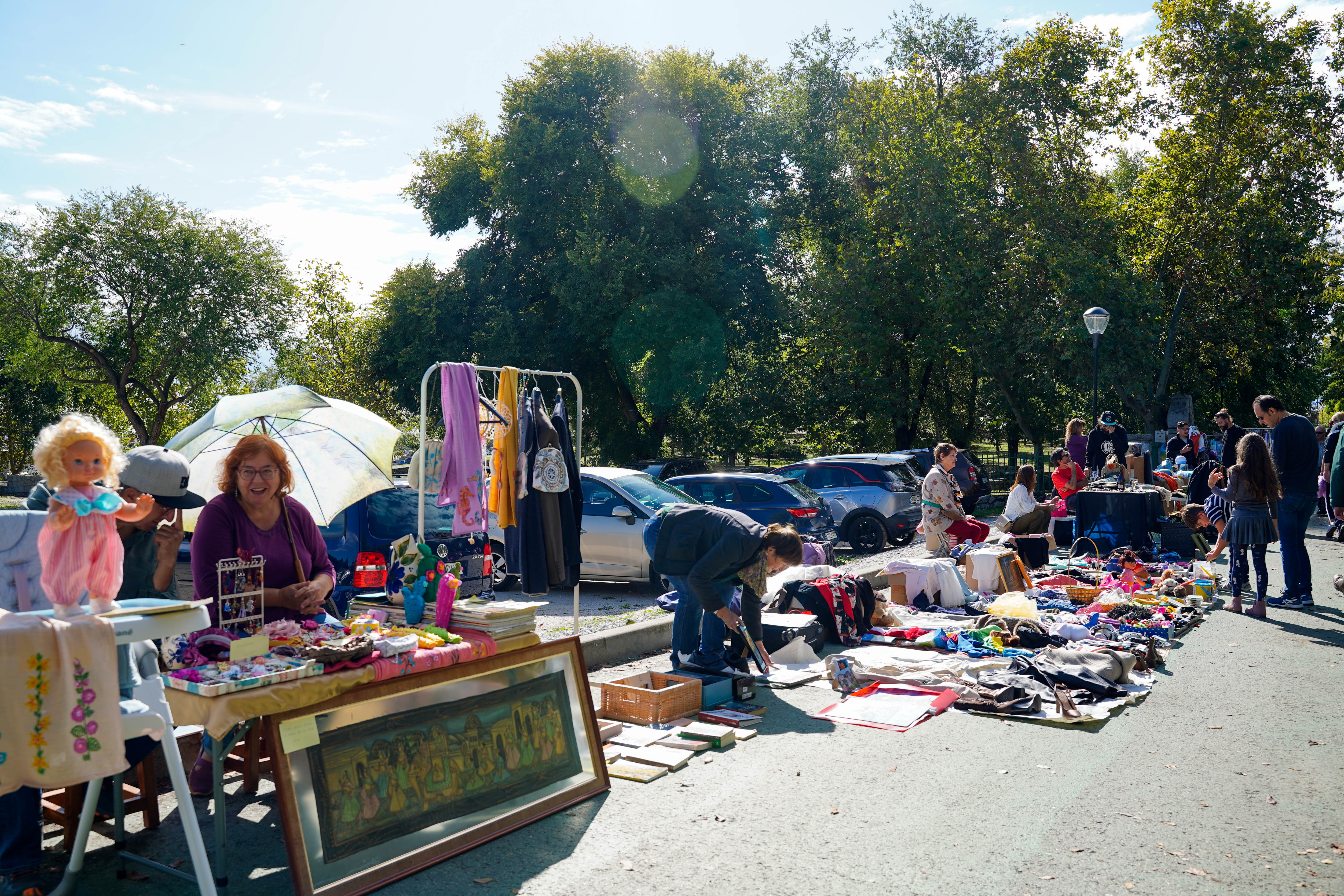 NdP_Rastrillo vecinal.jpg