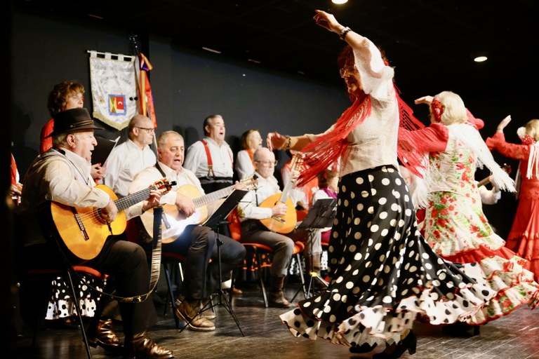 Ampliar 'Este fin de semana, Colmenar Viejo celebra el Día de Andalucía'