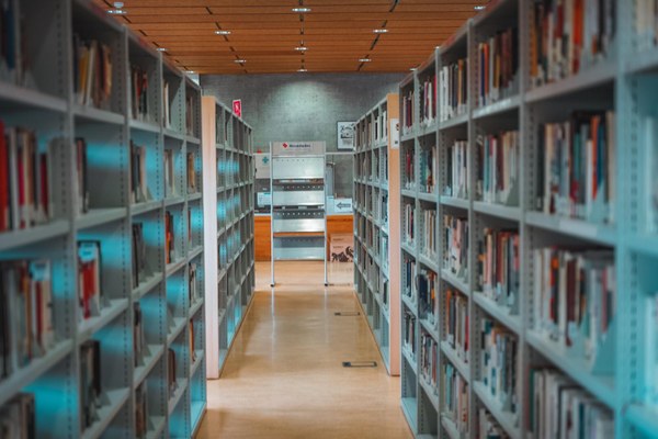 NdP_Bibliotecas.jpeg