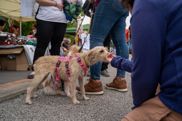 NdP_DíaFamiliaPerruna (4).jpg