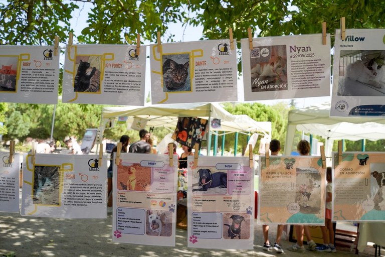 NdP_IX-Jornada-Adopción (2).jpg