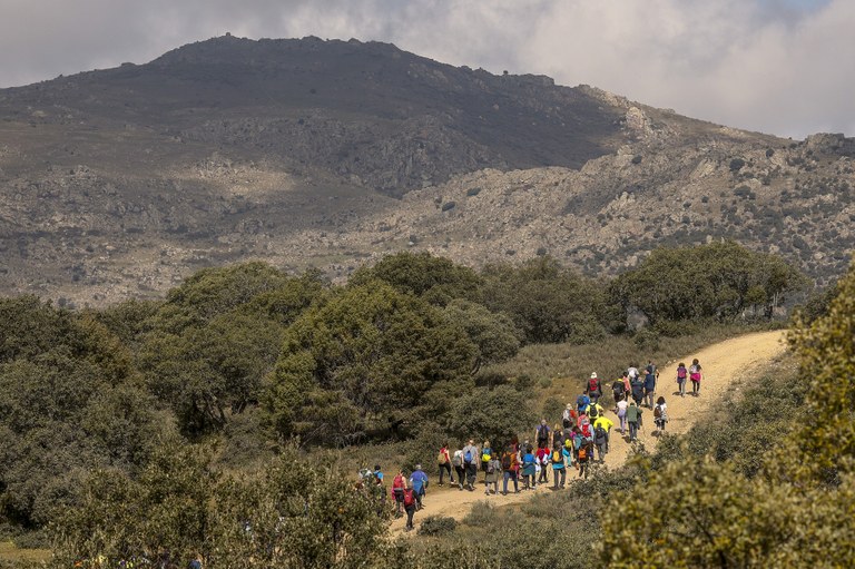 Ampliar 'Jornadas de Medio Ambiente 2026: Colmenar Viejo es vida'