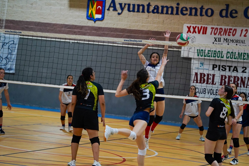 NdP_Voleibol.jpg