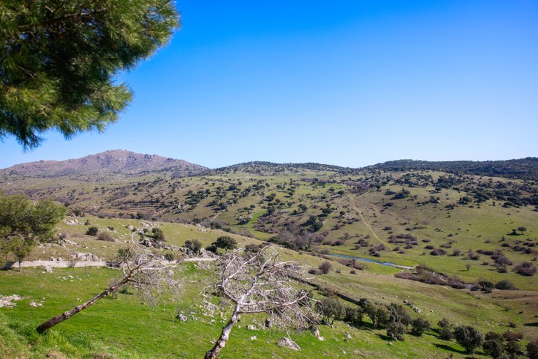 Ampliar 'La temporada de aprovechamiento de pastos en la Dehesa de Navalvillar se inicia el 5 de mayo'