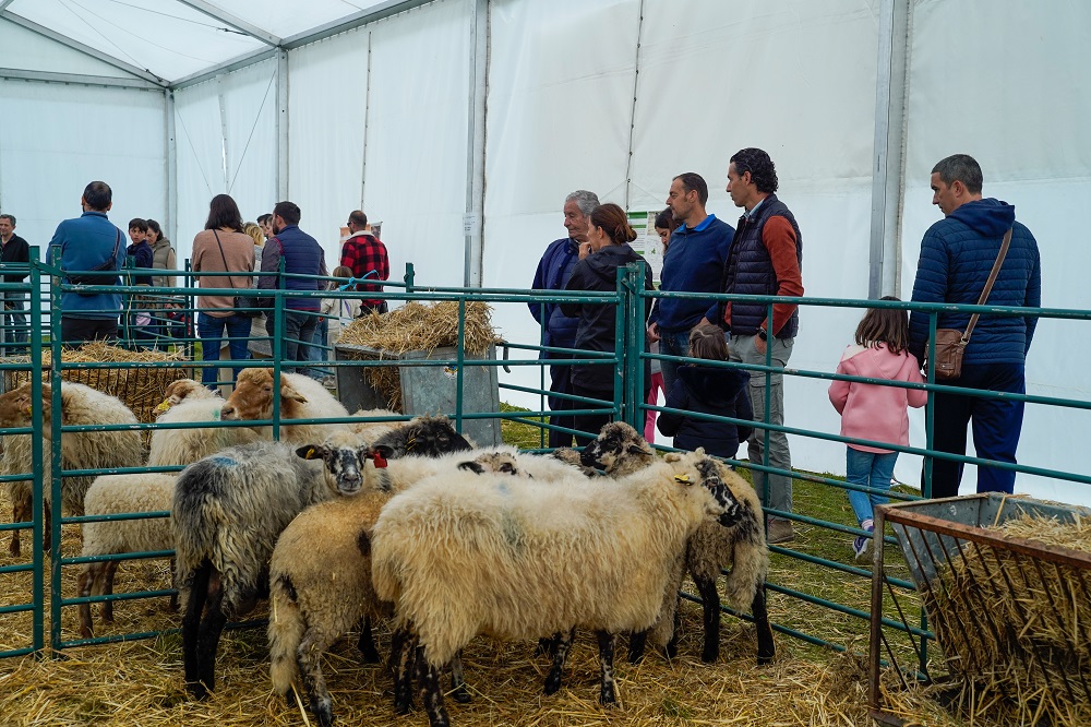 NdP_SubastaGanado_2025 (4).jpg