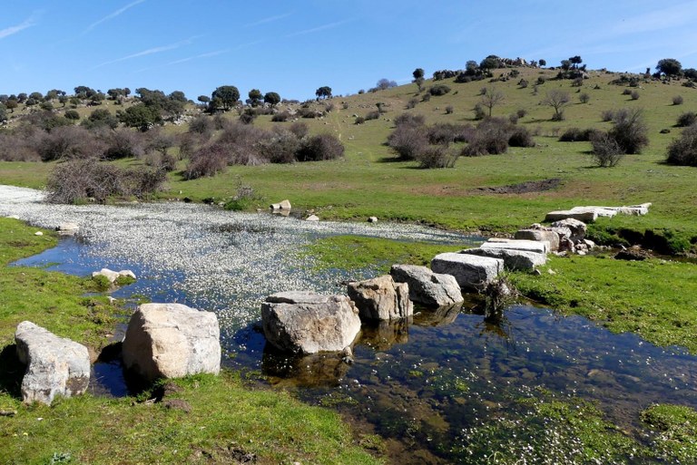 NdP_AlojamientoRuralSemanaSanta (2).jpeg