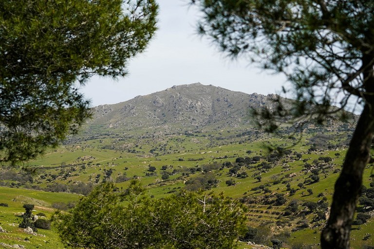 Ampliar 'Los ‘libros de firmas’ del Pico de San Pedro se pueden consultar en la Casa de la Cultura'