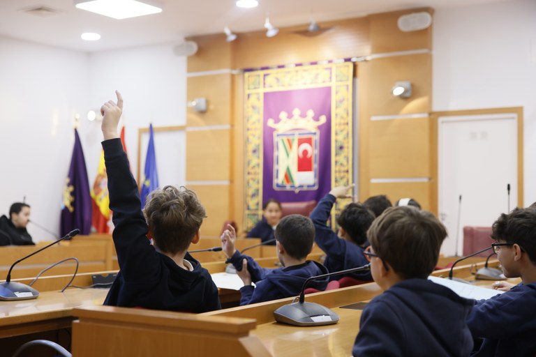 PLENITOS VIRGEN DE LOS REMEDIOS (8).JPG