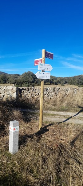 NdP_Señalización caminos municipales (3).jpg