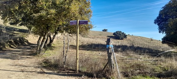 NdP_Señalización caminos municipales (7).jpg