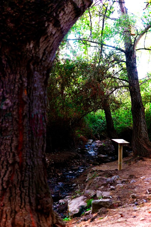 Ampliar 'Oasis urbanos: Patrimonio medioambiental e histórico en la Fuente del Moralejo y otras zonas singulares del municipio'