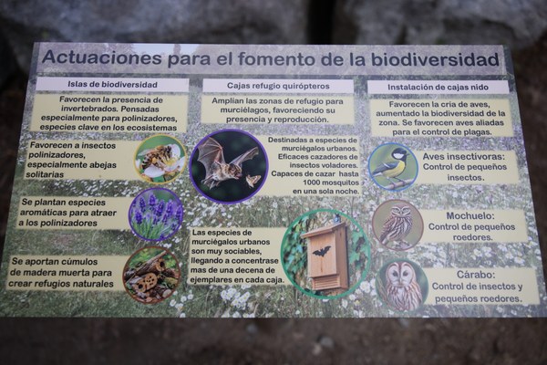 oasis urbanos (1).JPG