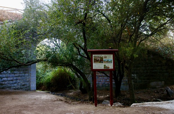 oasis urbanos (20).jpg