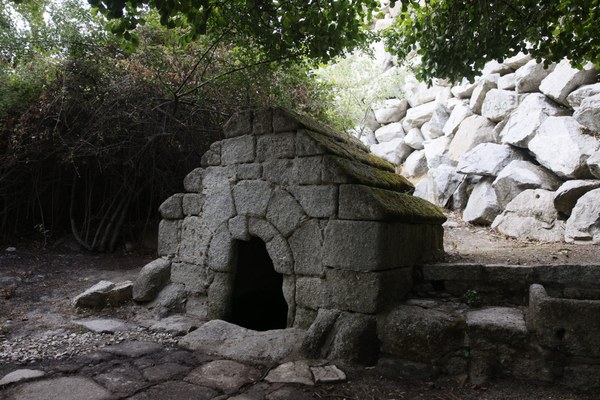 oasis urbanos (6).JPG