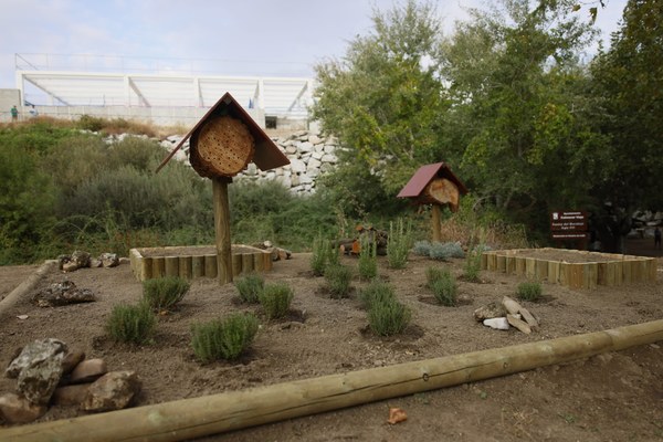 oasis urbanos (9).JPG
