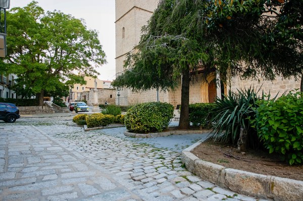 NdP_Inicio-obras-basílica (3).jpg