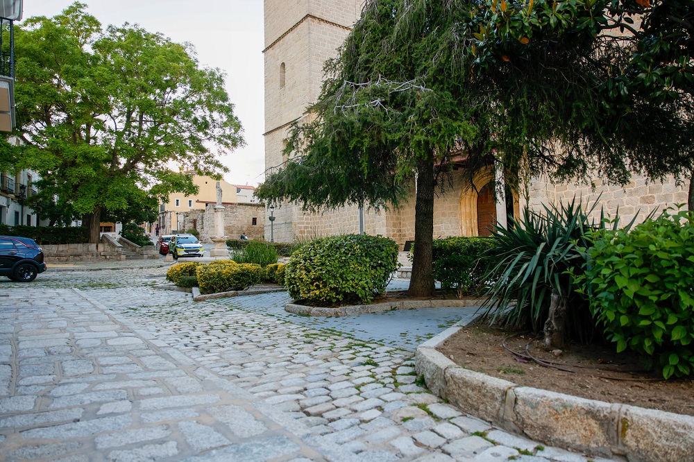 NdP_Inicio-obras-basílica (3).jpg