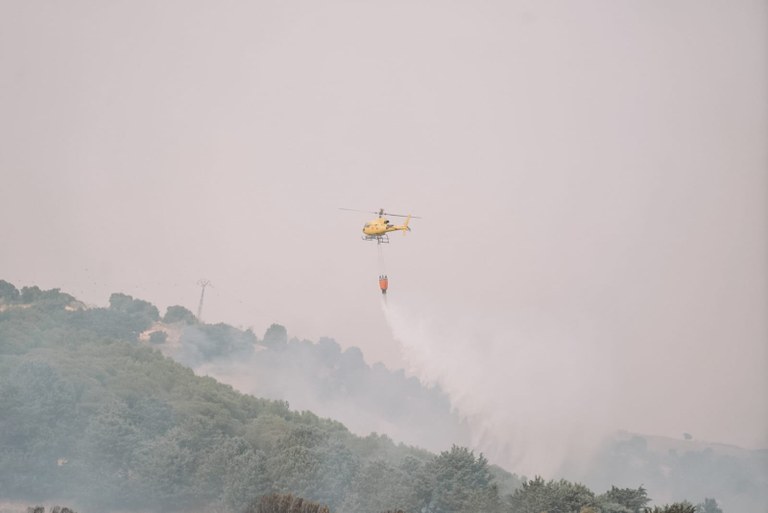 WhatsApp Image 2025-08-18 at 18.12.33.jpeg