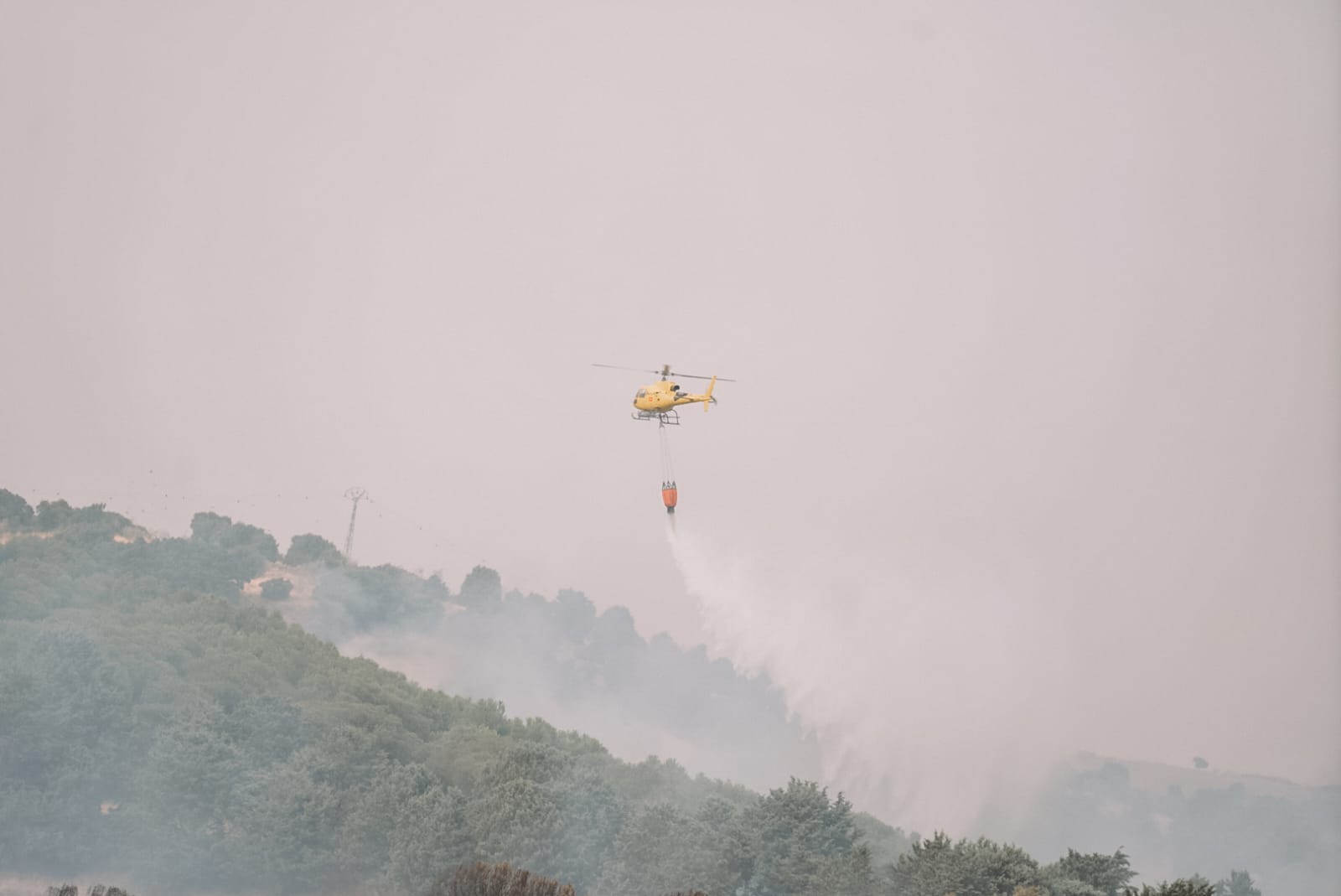 WhatsApp Image 2025-08-18 at 18.12.33.jpeg