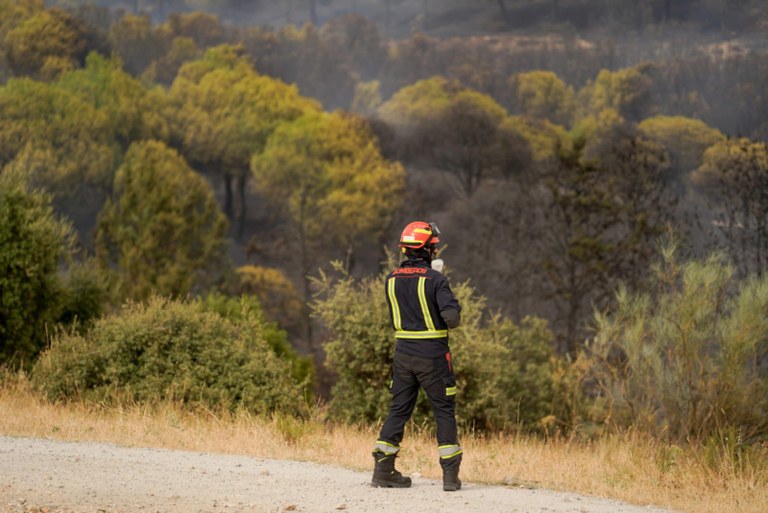 WhatsApp Image 2025-08-18 at 19.19.36.jpeg