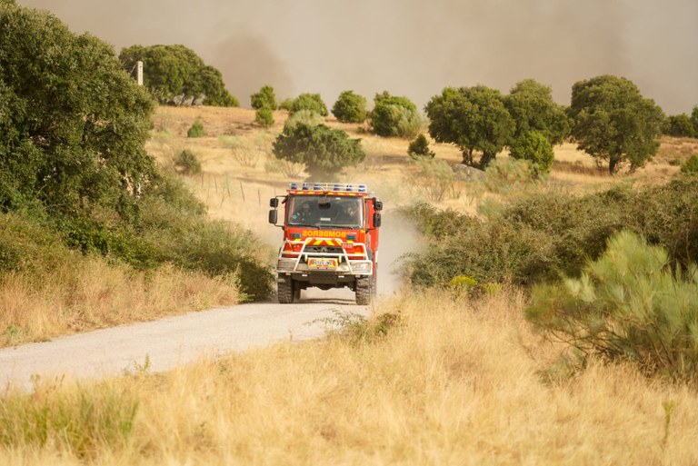 WhatsApp Image 2025-08-18 at 19.23.30.jpeg