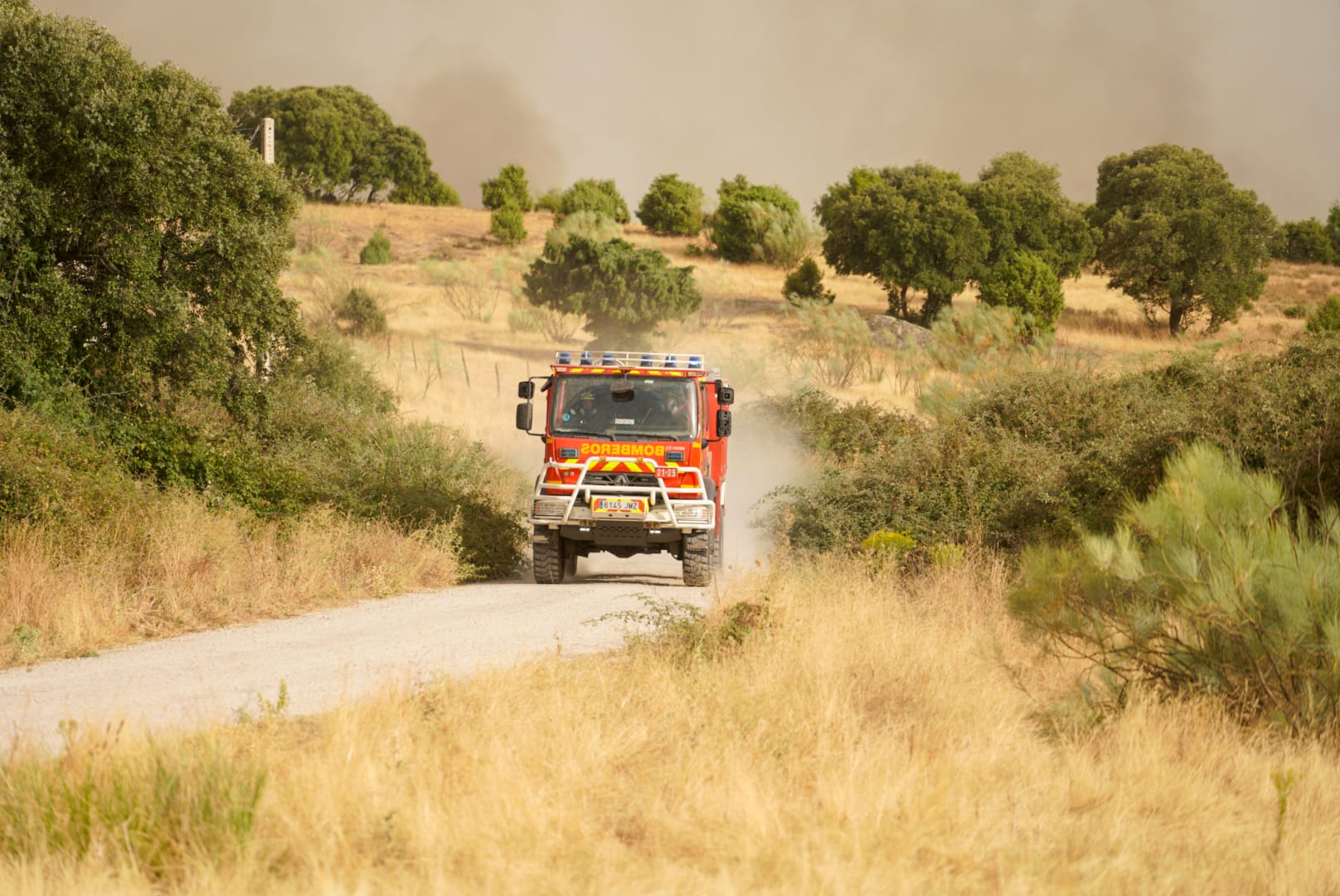 WhatsApp Image 2025-08-18 at 19.23.30.jpeg