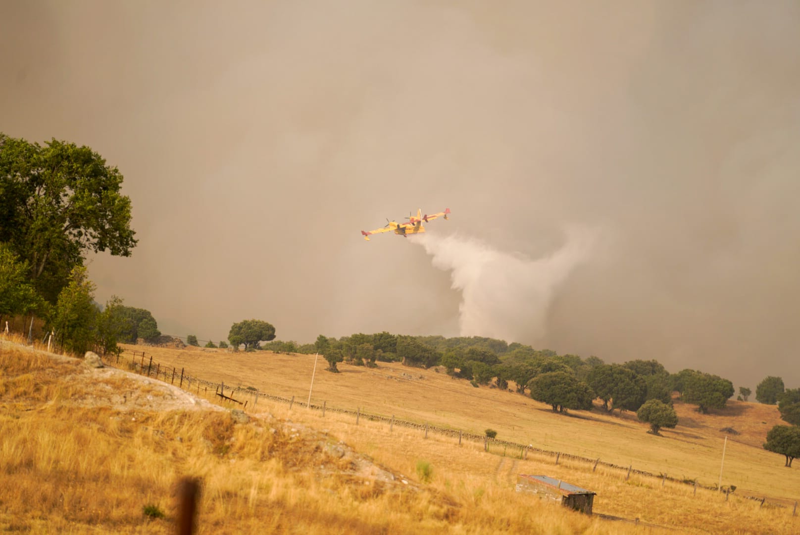 WhatsApp Image 2025-08-18 at 19.34.13.jpeg