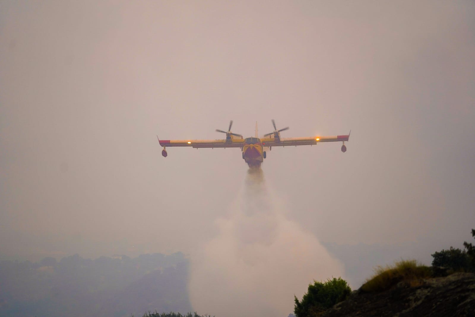 WhatsApp Image 2025-08-18 at 20.52.20.jpeg